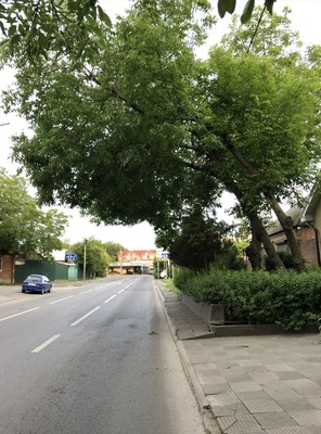 Купить  дом